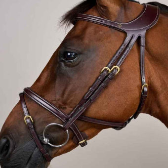 Bridle Difference Dyon Collection Brown