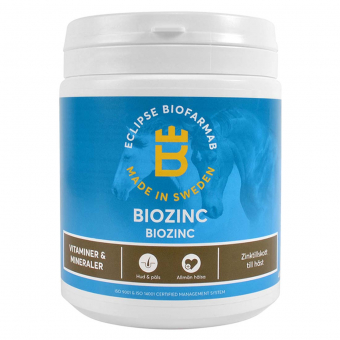 BioZinc 400g