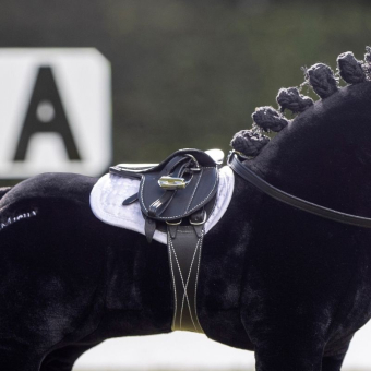 Saddle Toy Pony Black
