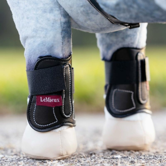 Leg Protection Toy Pony Capella 4-pack Black