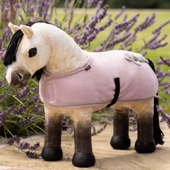 Toy Pony Dream