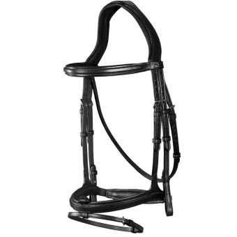 Anatomic Combination Bridle NE Black