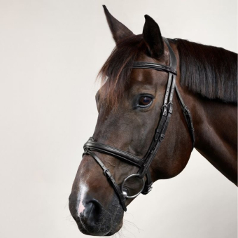 Anatomic Combination Bridle NE Black
