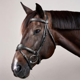 Anatomical Combination Bridle NE Black