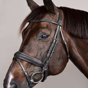Bridle Plaited Pull Back New English Collection Black
