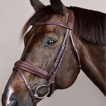 Bridle Plaited Pull Back New English Collection Brown