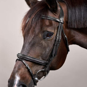 Flash Noseband Bridle Plaited New English Collection Black