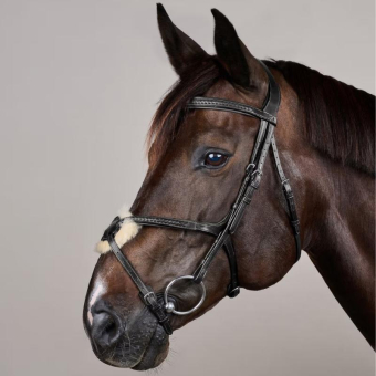 Figure 8 Noseband Bridle Plaited New English Collection Black