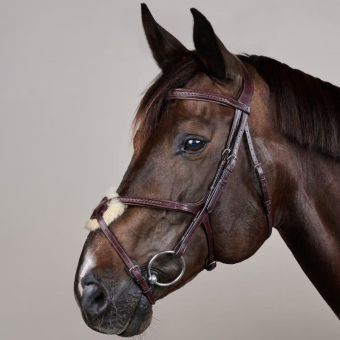 Figure 8 Noseband Bridle Plaited New English Collection Brown