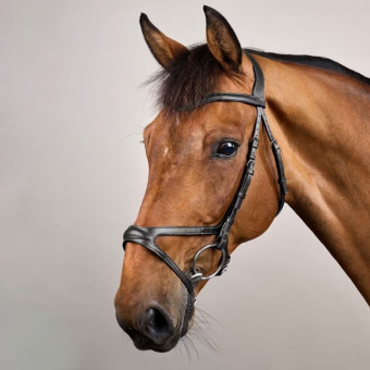 X-Fit Anatomical Bridle NE Black