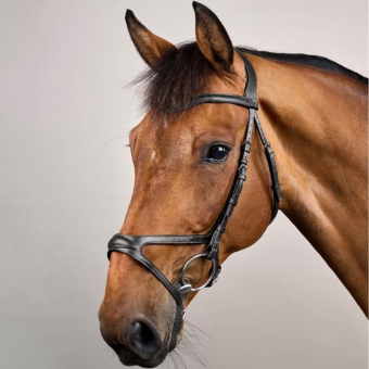 X-Fit Anatomical Bridle New English Collection Black