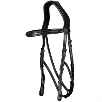 Hackamore Bridle NE Black