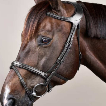 Bridle Difference New English Collection Black