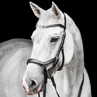 Bridle Micklem Competition Black
