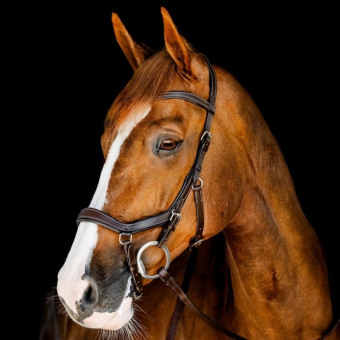 Bridle Micklem Competition Dark Brown