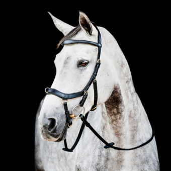 Micklem 2 Multi Bridle Black