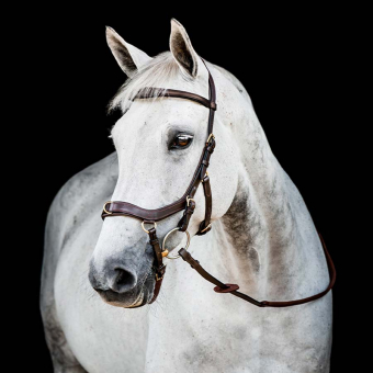 Micklem 2 Multi Bridle Dark Brown