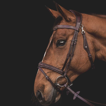 Ready To Ride Bridle with Decorative Stitching Brown