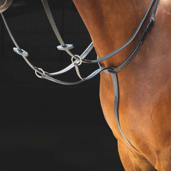 Martingale Salisbury Black