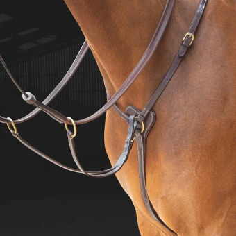 Breastplate Salisbury Brown