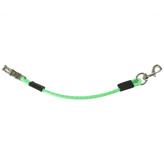 Transport Lead Rope Green
