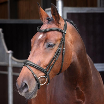 Bridle LUSSO Elite Black