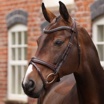 Bridle Padded Noseband LUSSO Opus 180M Brown