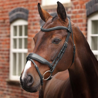Bridle Wide Noseband LUSSO Opus 180M Black