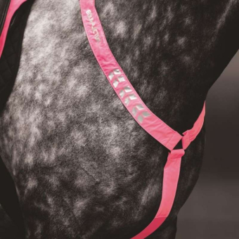 Breastplate Reflective Pink