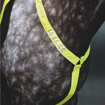 Breastplate Reflective Yellow