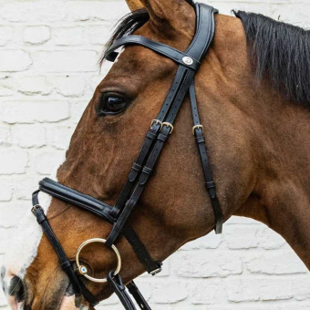 Flash Noseband Bridle Soft Collection Black