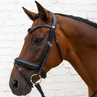 Dressage Bridle Medium Noseband Soft Collection Black