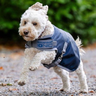 Dog Coat Ionic Therapy 50g Blue/Silver
