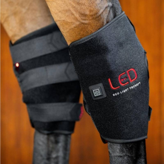 LED Red Light Therapy Hock Boot Black