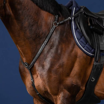 Bridge Breastplate US Collection Black