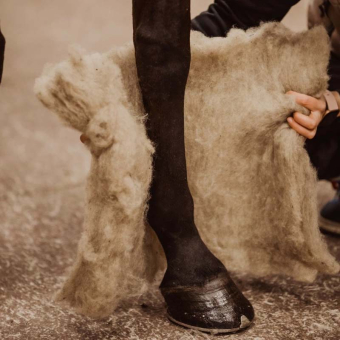 Wool Pads Wool Care Nature