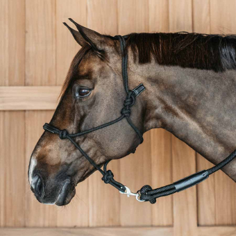 Rope Halter Training WBD Black
