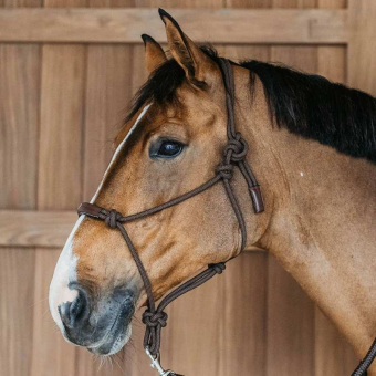 Rope Halter Training WBD Brown