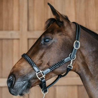 Leather Halter Plaited WBD Black