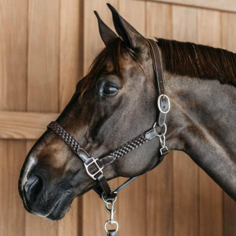 Leather Halter Plaited WBD Brown