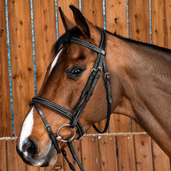 Classic Combination Bridle WC Black