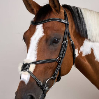 Mexican Noseband Bridle WC Black