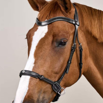 Bitless Bridle Working Collection Black
