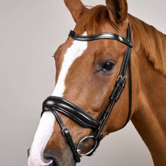 Dressage Bridle Matt WC Black