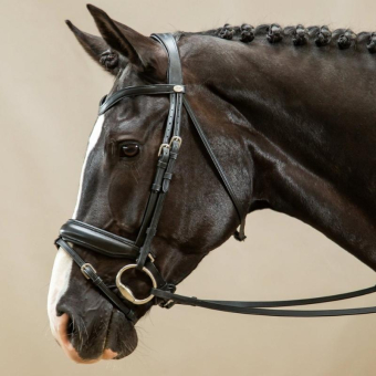 Dressage Bridle Matte Working Collection Black