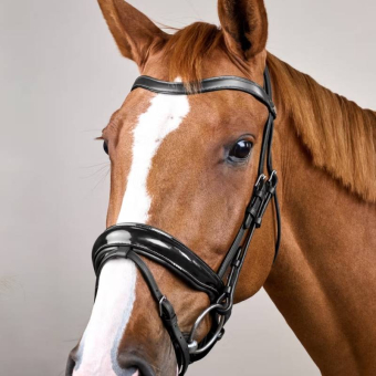 Dressage Bridle Glossy WC Black