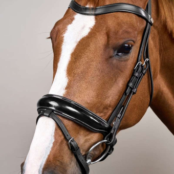 Patent Dressage Bridle Working Collection Black