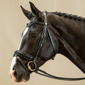 Patent Dressage Bridle Working Collection Black