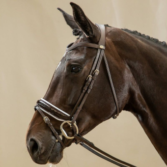 Patent Dressage Bridle with White Padding Collection Brown