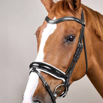 Dressage Bridle Glossy/White Padded WC Black